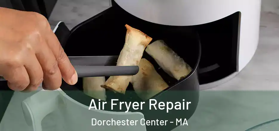  Air Fryer Repair Dorchester Center - MA