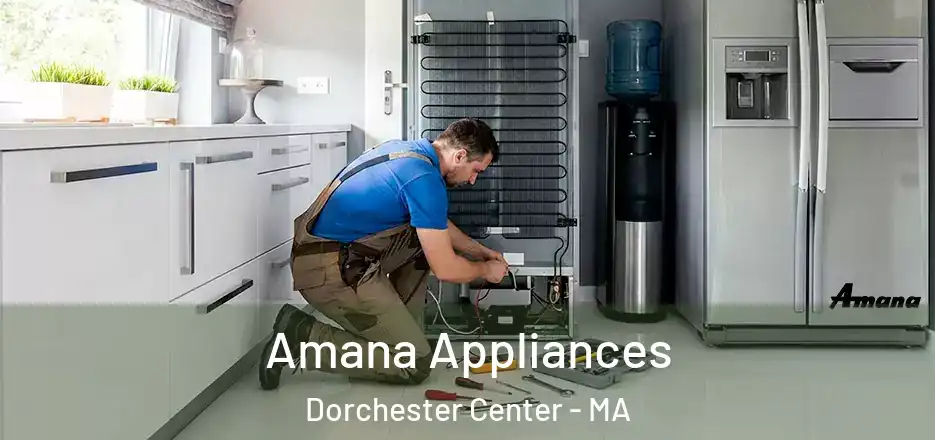  Amana Appliances Dorchester Center - MA