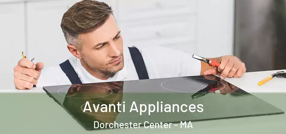  Avanti Appliances Dorchester Center - MA