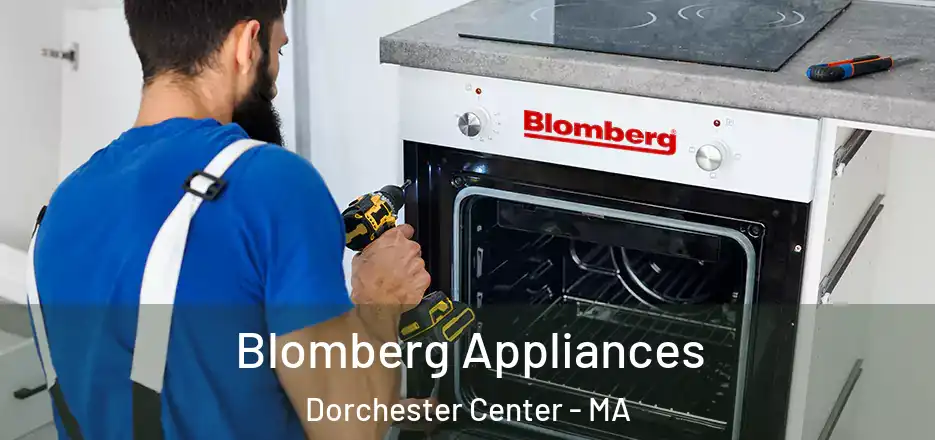 Blomberg Appliances Dorchester Center - MA