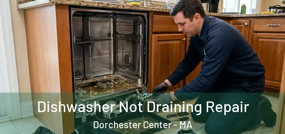  Dishwasher Not Draining Repair Dorchester Center - MA