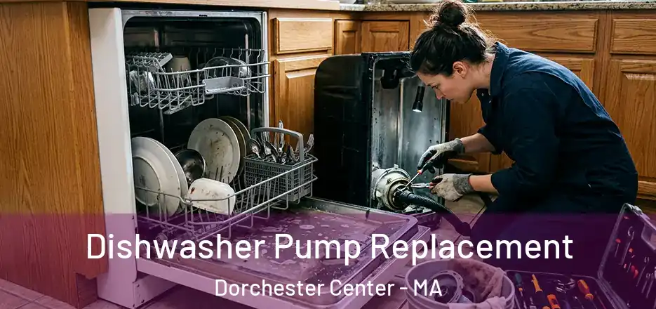 Dishwasher Pump Replacement Dorchester Center - MA