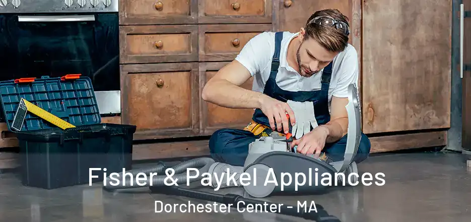  Fisher & Paykel Appliances Dorchester Center - MA