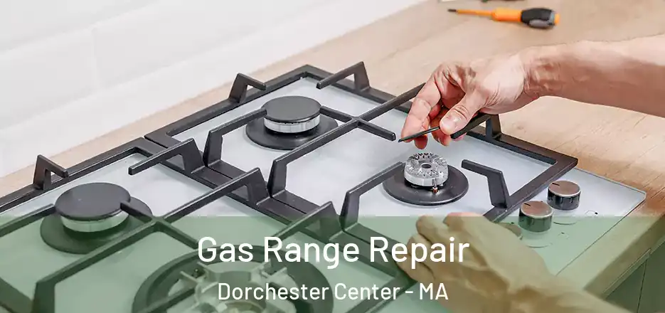  Gas Range Repair Dorchester Center - MA