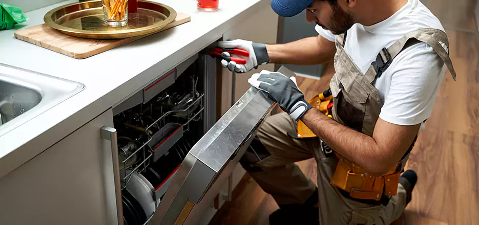 Same Day Dishwasher Not Draining Repair in Dorchester Center
