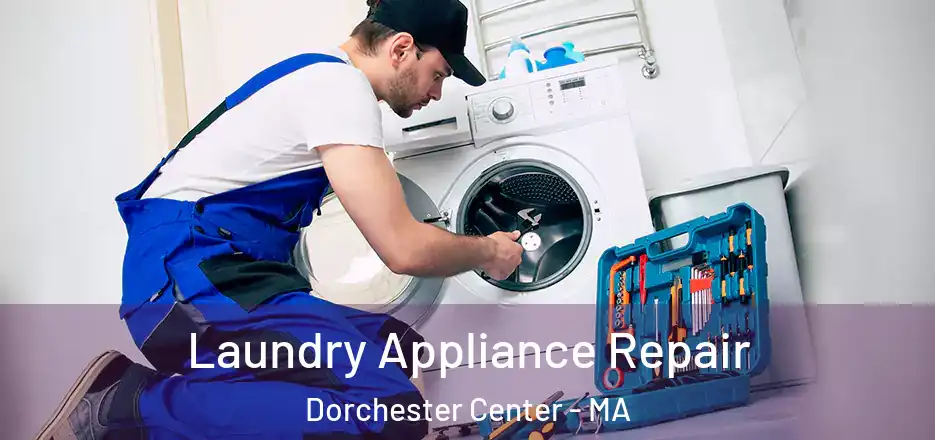  Laundry Appliance Repair Dorchester Center - MA
