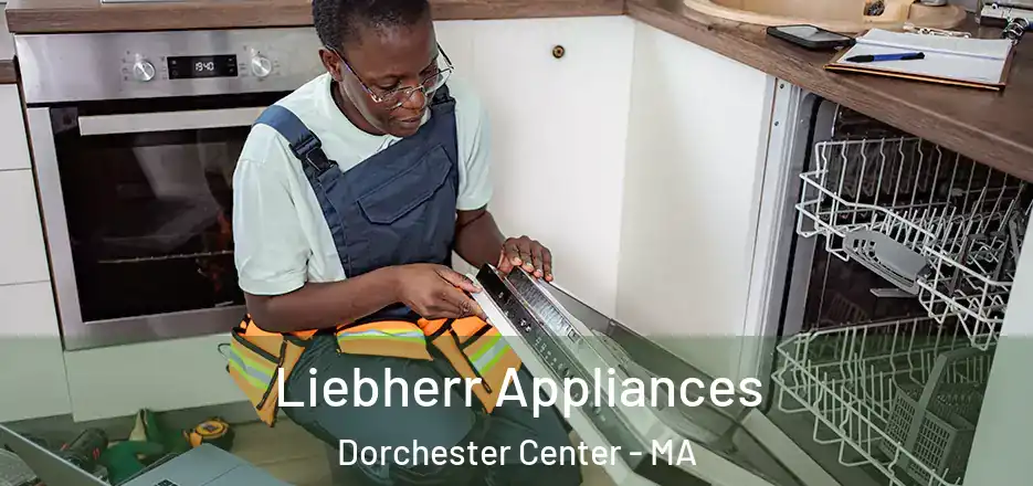  Liebherr Appliances Dorchester Center - MA
