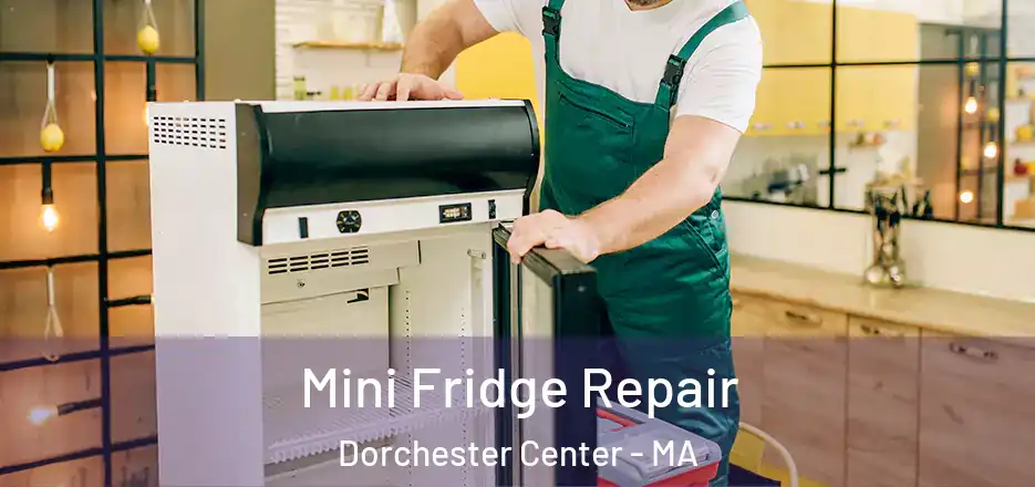 Mini Fridge Repair Dorchester Center - MA