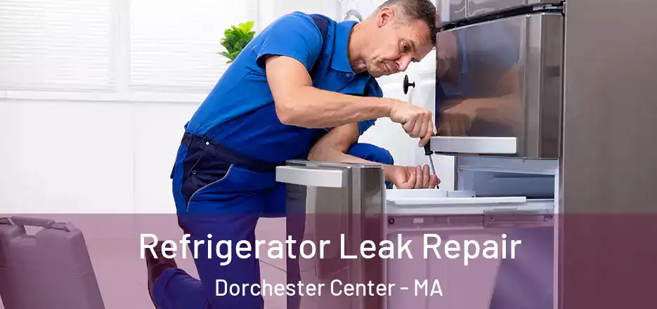  Refrigerator Leak Repair Dorchester Center - MA