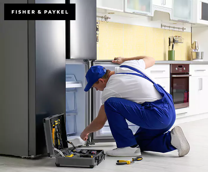 Top-Rated Fisher & Paykel Appliance Experts: Your Brand Specialist in Dorchester Center, MA