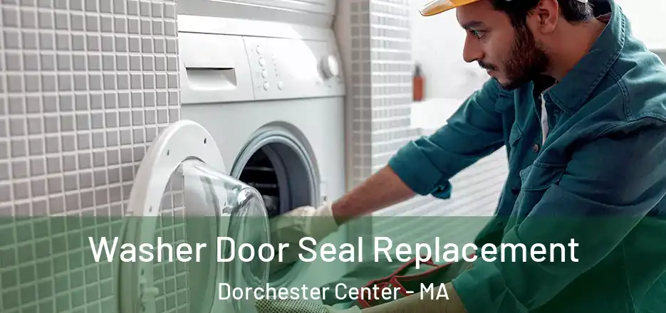  Washer Door Seal Replacement Dorchester Center - MA